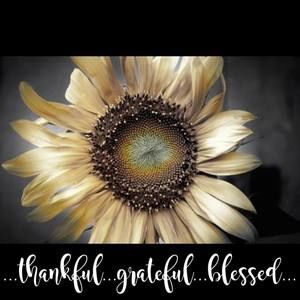 Meet your Posher, Patty